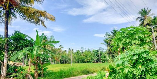 Paddy View Plot with 12-Foot Road Access