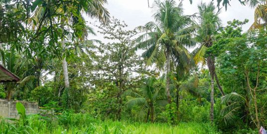 Riverfront Plot with Mangrove Views