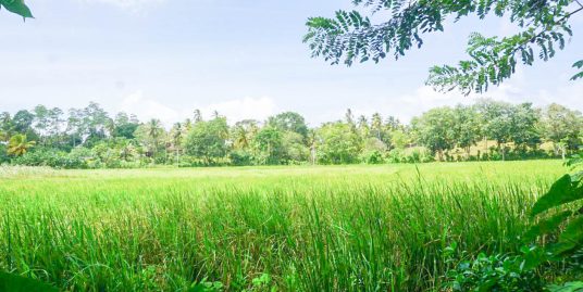 100 Perch Land with Panoramic Paddy Field Views