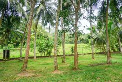 DSC01780