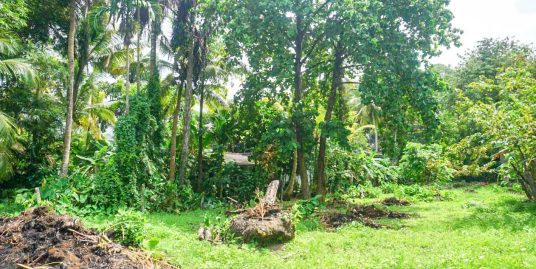 Bare Land Near Unawatuna Beach – Ideal for Guest House