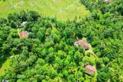 DJI_0532