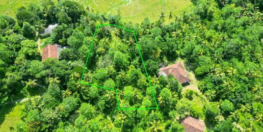 Midigama Land 5 Minutes from Surfing Beach