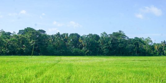 Coastal Living – Accessible, Scenic, and Full of Potential