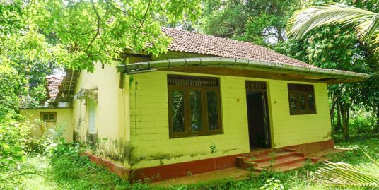 Spacious Land for Renovation or New Build