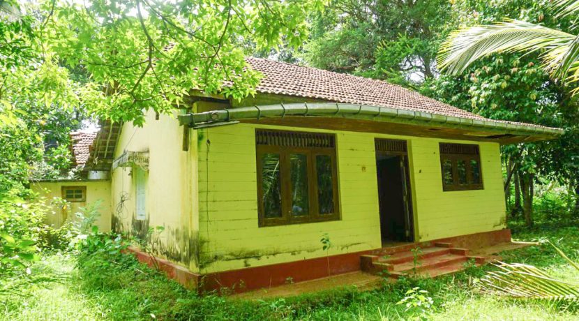 DSC07696