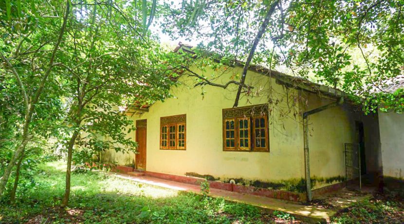 DSC07744