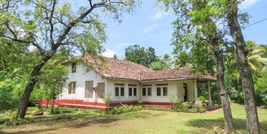 200-Perch Property – Renovate or Rebuild at Your Pace