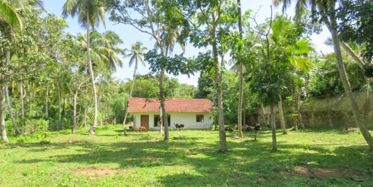 Build Your Private Villa Minutes from Habaraduwa Beach