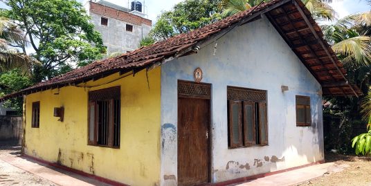 16 Perches Just 800m from the Waves