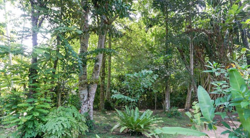 AzLVe-5ec7mpfahnl2uanmre3qf35e