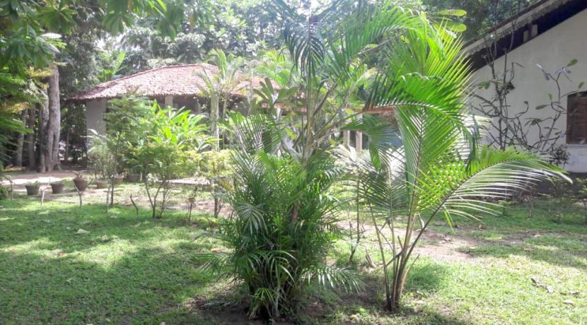 BR7K6-frdfpskiz5r3jup34n3fedt6