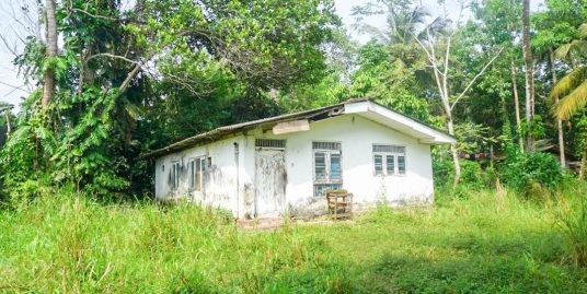 58-Perch Land within Easy Reach of Beaches and Town