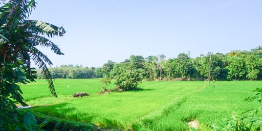 Nature, Space, and Freedom- Your New Address