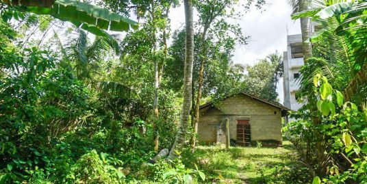 Prime 166P Land in Ahangama – Minutes from the Beach & Town