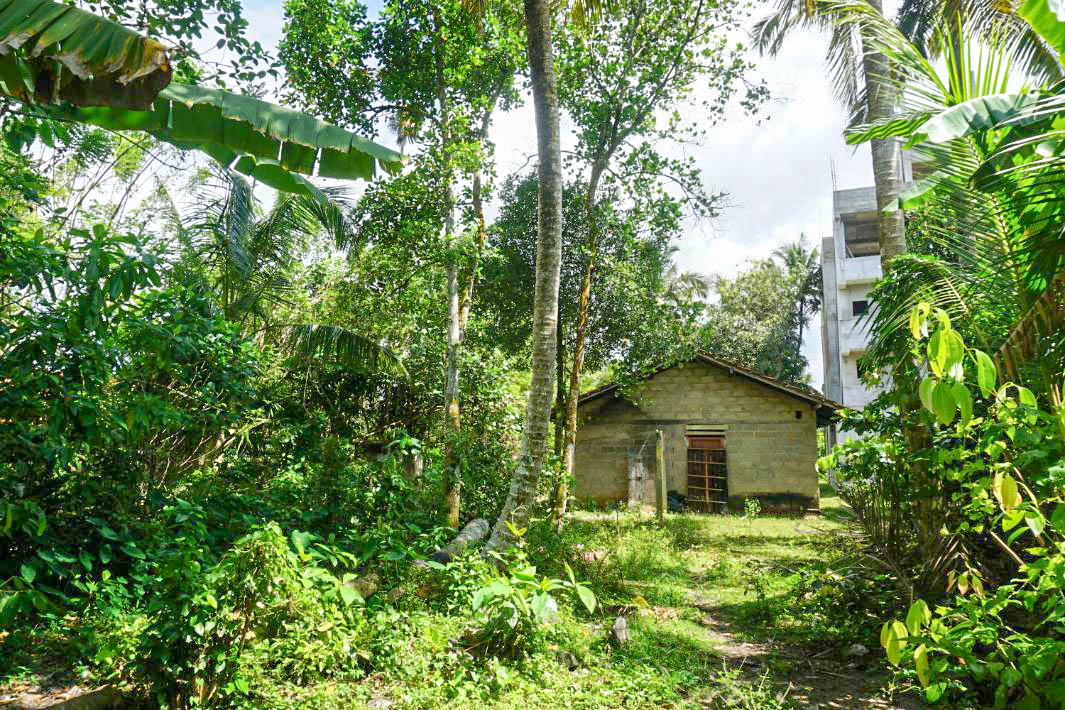 Prime 166P Land in Ahangama – Minutes from the Beach & Town