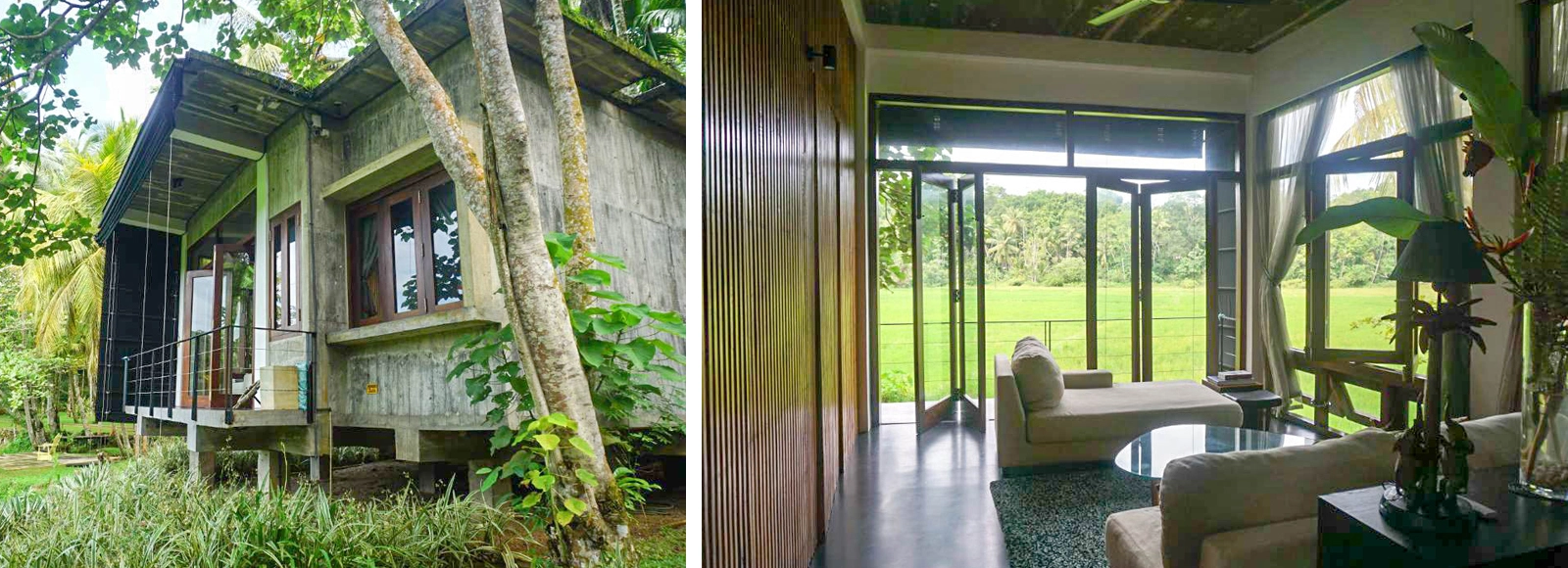 Two Homes Amid Open Landscapes with Room for Growth