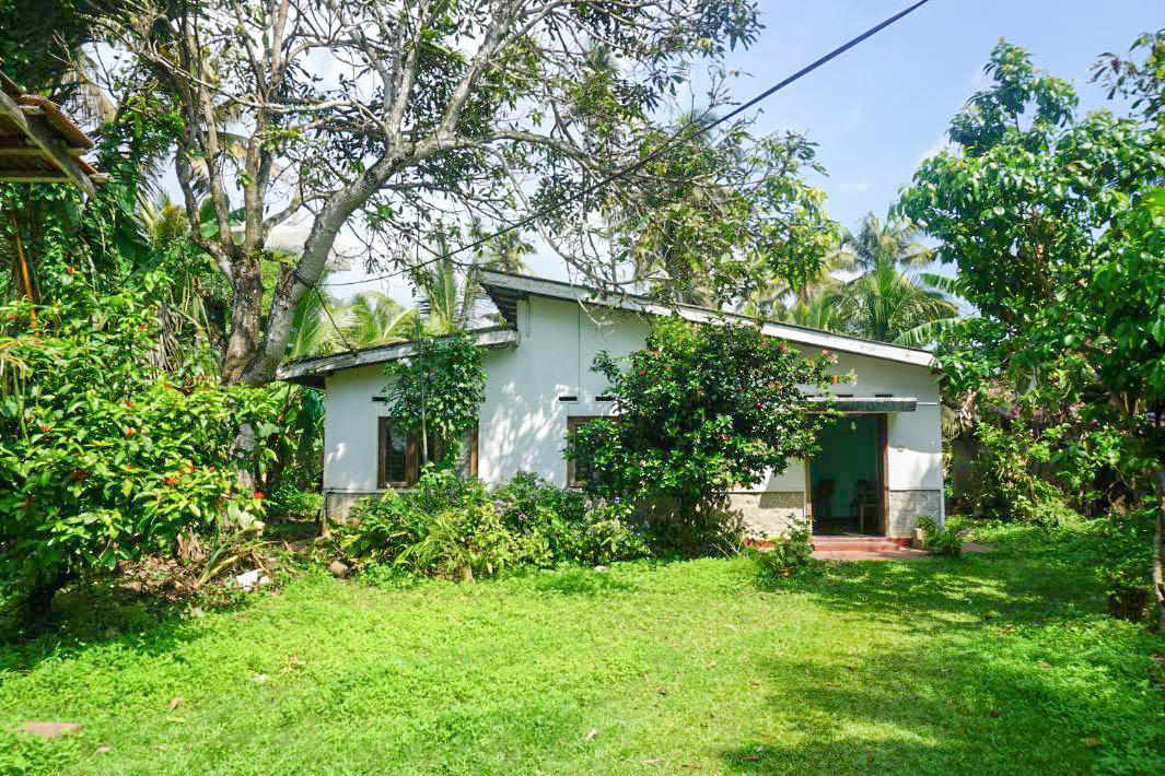 Prime Development Land for Sale in Ahangama’s Trendiest Surf Destination