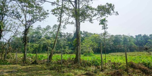 Investment Opportunity – paddy view land in Meepe