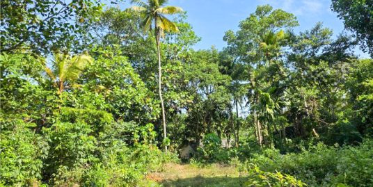 Elevated 53P Plot with Development Scope – Midigama