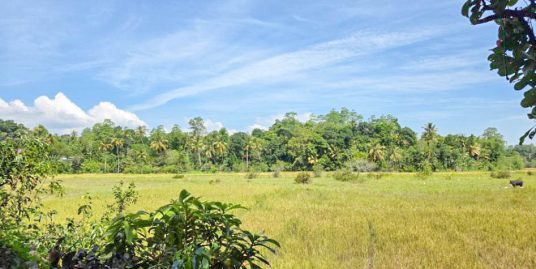 240 P Bare Land in Peaceful Midigama Location