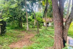 PHOTO-2026-03-20-15-36-24