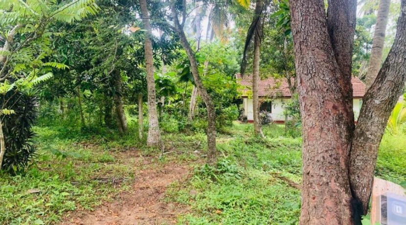 PHOTO-2026-03-20-15-36-24