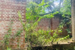 PHOTO-2026-03-20-15-36-41