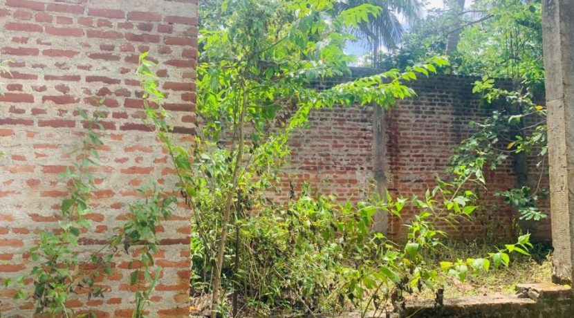 PHOTO-2026-03-20-15-36-41