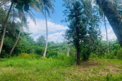 PHOTO-2026-03-20-15-36-43