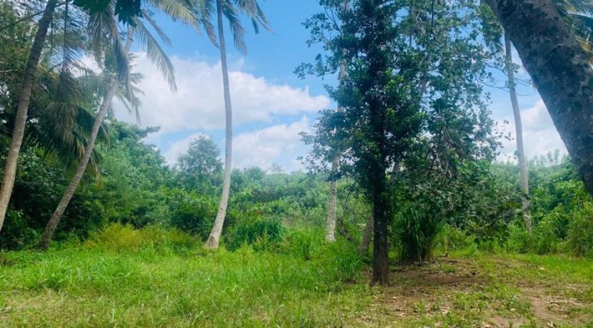 PHOTO-2026-03-20-15-36-43