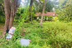 PHOTO-2026-03-20-15-40-20