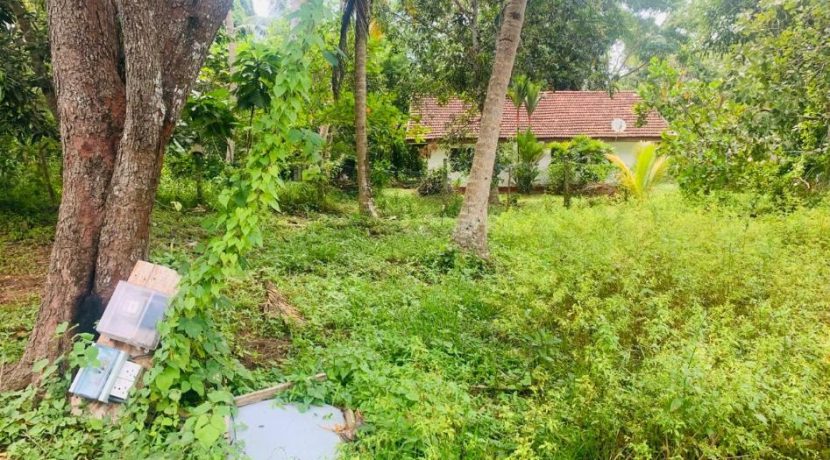 PHOTO-2026-03-20-15-40-20