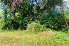 PHOTO-2026-03-20-15-40-29