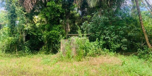 Serene Tropical Land Near Talalla Beach – A Rare Opportunity on Sri Lanka’s South Coast