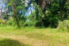 PHOTO-2026-03-20-15-40-33