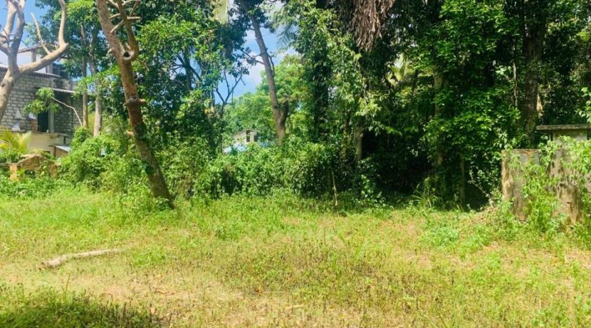 PHOTO-2026-03-20-15-40-33