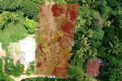 PHOTO-2026-03-20-15-40-35