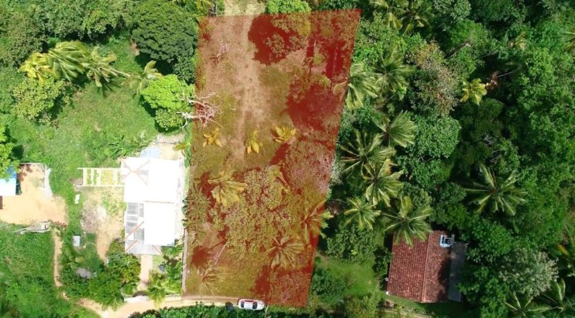 PHOTO-2026-03-20-15-40-35