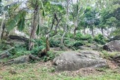 WhatsApp Image 2026-02-25 at 10.27.10