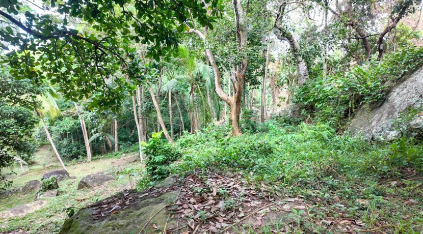 WhatsApp Image 2026-02-25 at 10.27.13 (1)