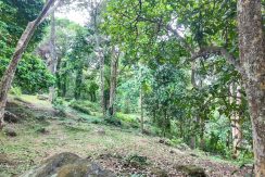 WhatsApp Image 2026-02-25 at 10.27.13