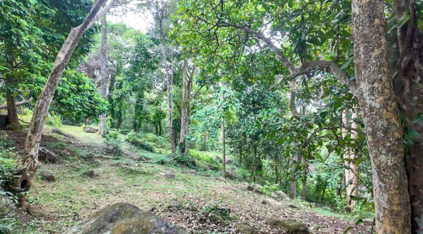 WhatsApp Image 2026-02-25 at 10.27.13