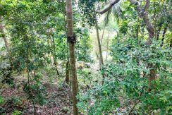 WhatsApp Image 2026-02-25 at 10.27.15 (2)