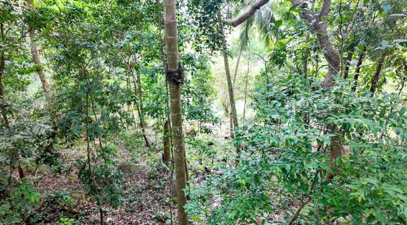 WhatsApp Image 2026-02-25 at 10.27.15 (2)