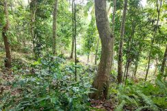 WhatsApp Image 2026-02-25 at 10.27.17 (1)