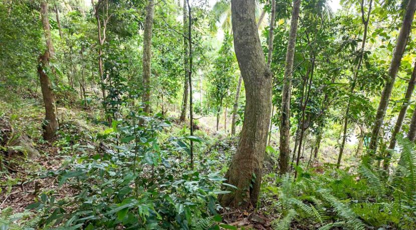 WhatsApp Image 2026-02-25 at 10.27.17 (1)