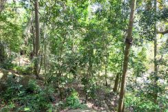 WhatsApp Image 2026-02-25 at 10.27.17 (3)