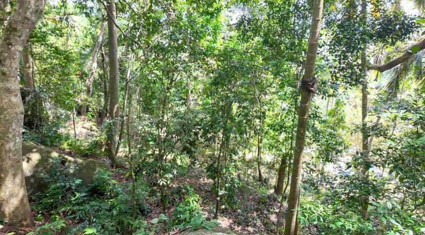 WhatsApp Image 2026-02-25 at 10.27.17 (3)