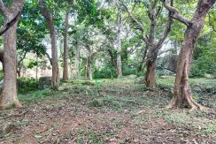 WhatsApp Image 2026-02-25 at 10.27.18 (1)